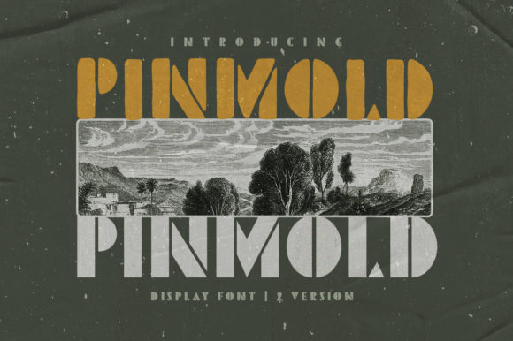 Pinmold: A Bold Display Font for Eye-Catching Campaigns