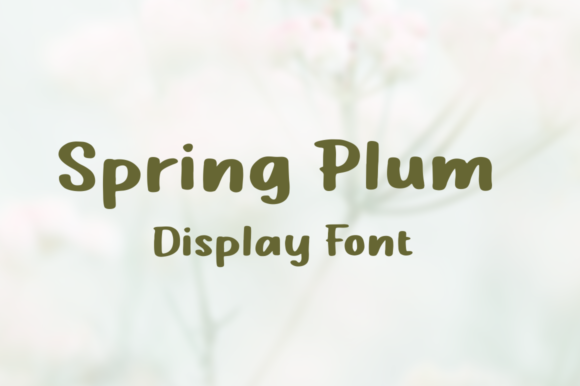 Spring Plum Font for Branding and Packaging